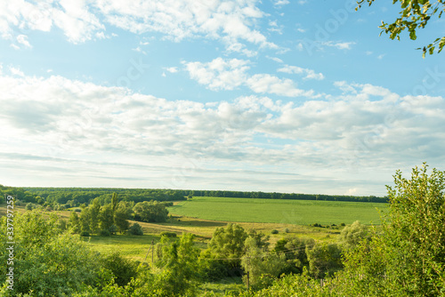 Beautiful landscape with fields, meadows and forests against a blue sky with clouds on a summer clear day