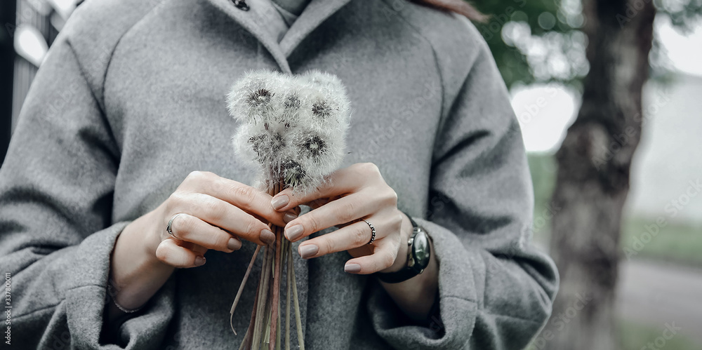 Dandelions Dandelions