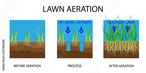 Lawn aeration. Process of aeration before and after, lawn grass care service, gardening and landscape design. Gardening grass lawn care, landscaping service. Vector