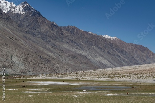 Canvas Print Leh,aldakh,Jammu And KashmirIndia-17-04-2019:Photos taken in Leh,Ladakhregion,India
