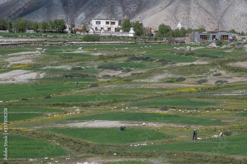 Canvas Print Leh,aldakh,Jammu And KashmirIndia-17-04-2019:Photos taken in Leh,Ladakhregion,India