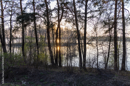 Sunset over the forest lake. The rays of the sun through the trees.