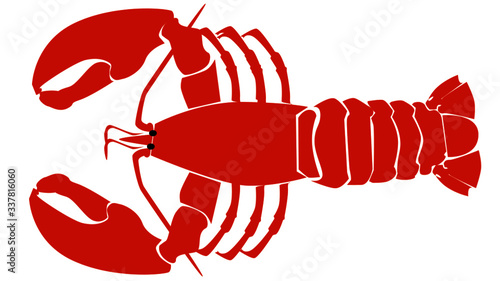 Lobster illustration