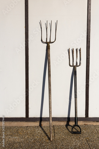 Two pitchforks leaning on white wall ready for gardening. Gardening tools.