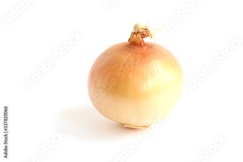 Wallpaper Mural Beautiful unpeeled brown onion head isolated on white background. Cooking Ingredients Theme. Torontodigital.ca