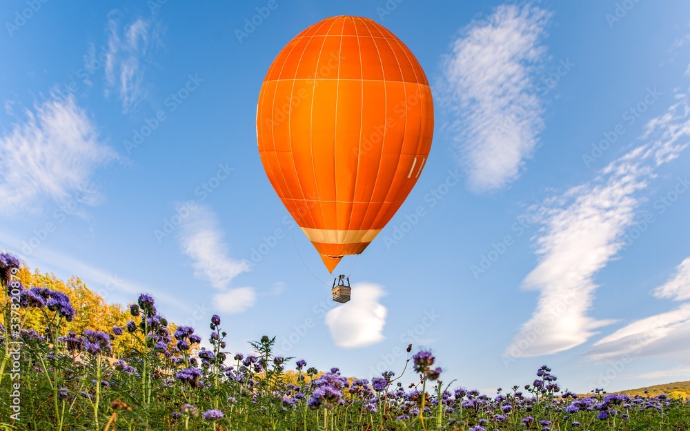 Fototapeta premium Colorful balloon over floral fields with blue sky background