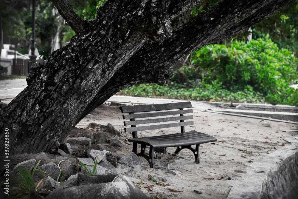 a bench under the tree, a seat on the sand