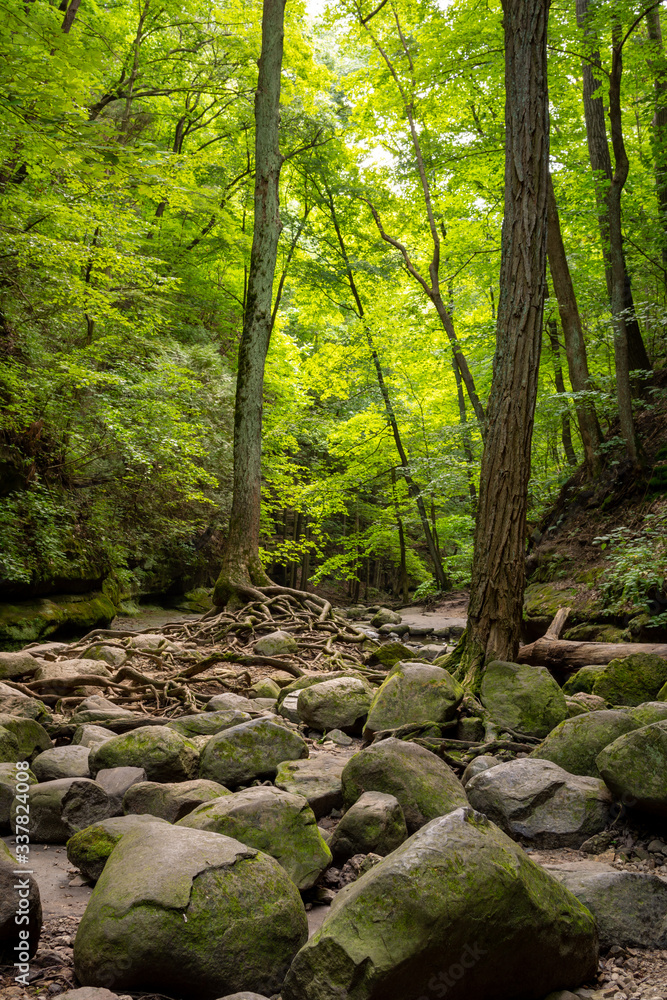 Obraz premium Hiking the sandstone canyons at Matthiessen State Park, Illinois.