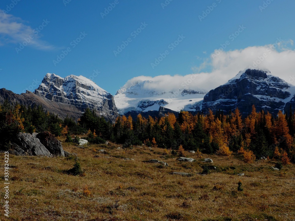 View towards Valley Of Ten Peak at the Larch Valley at Banff National Park Canada   OLYMPUS DIGITAL CAMERA