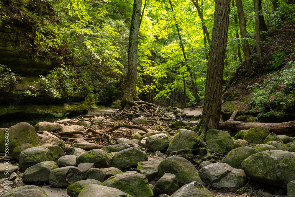 Fototapeta premium Hiking the sandstone canyons at Matthiessen State Park, Illinois.