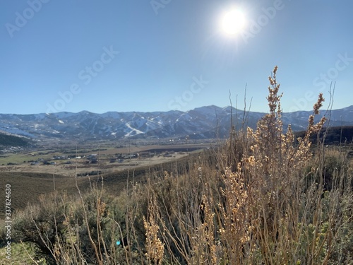 morning in the mountains