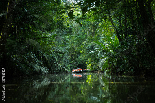 kayaking in the forest