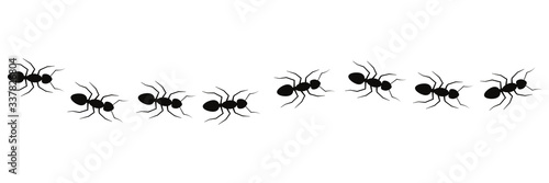 Line of working ants vector illustration isolated on white