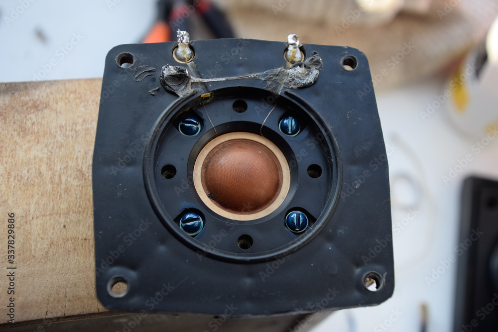 High frequency speaker 10gdv-2 with a silk membrane of the frequency emitter. High frequency speaker 10gdv-2 with a silk membrane of the frequency emitter.