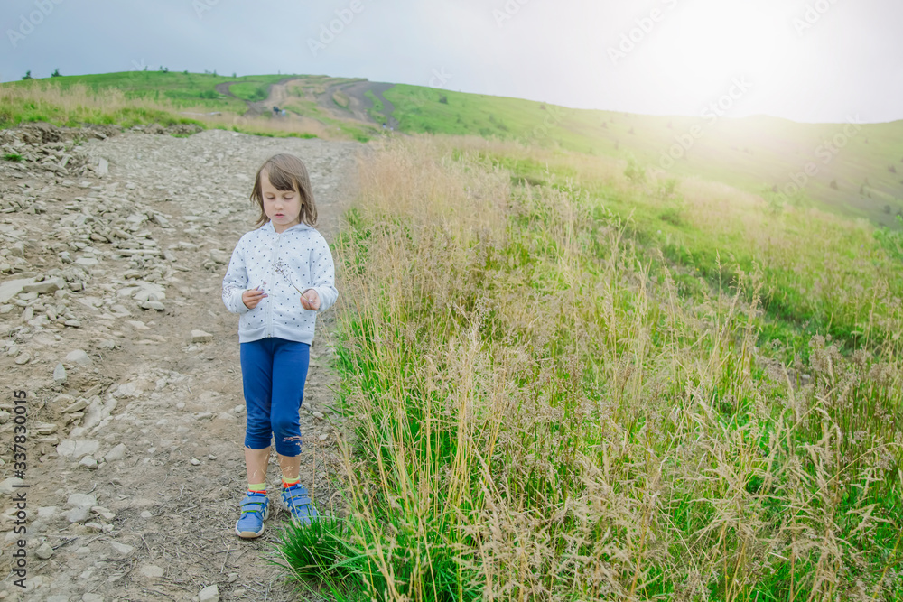 Cute little child girl hiker traveler walks on top of mountain among flowers and grass against a backdrop of hills and mountains. Horizontal image.