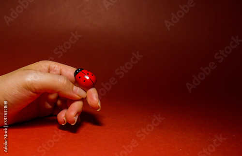 ladybird on a woman finger, hand holding a ladybug