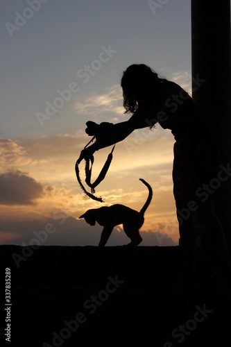 silhouette of cat and woman
