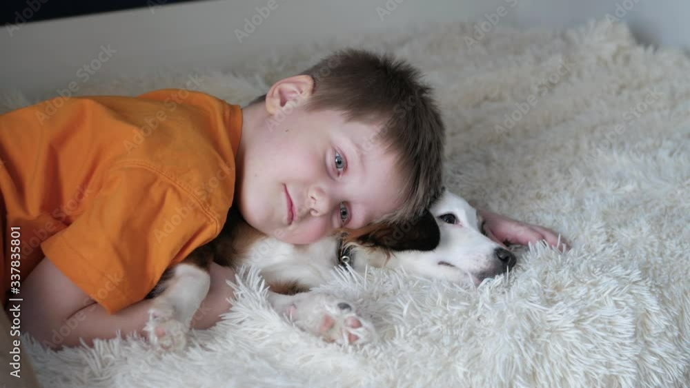 a boy in an orange t-shirt, cat and pants lies in his bedroom on a small dog of white and brown color, on a bed covered with a cream blanket, and lovingly embraces the puppy. The dog looks around a boy in an orange t-shirt, cat and pants lies in his bedroom on a small dog of white and brown color, on a bed covered with a cream blanket, and lovingly embraces the puppy. The dog looks around