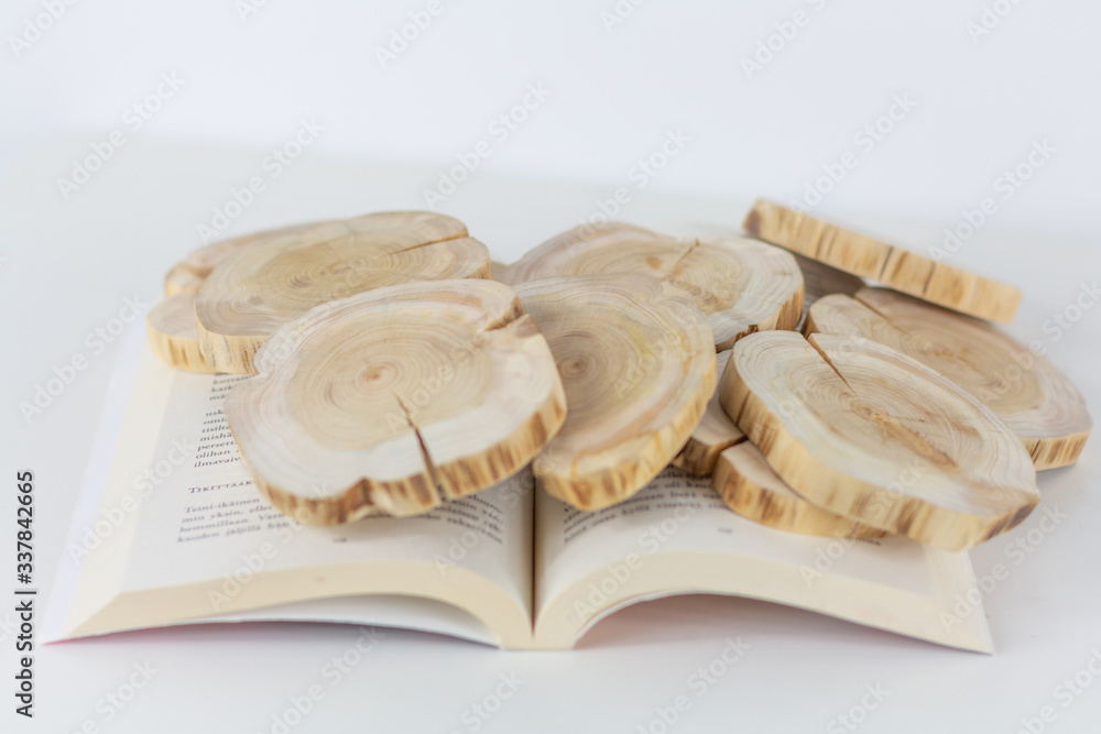 Open book with wooden coins on top of it, white background