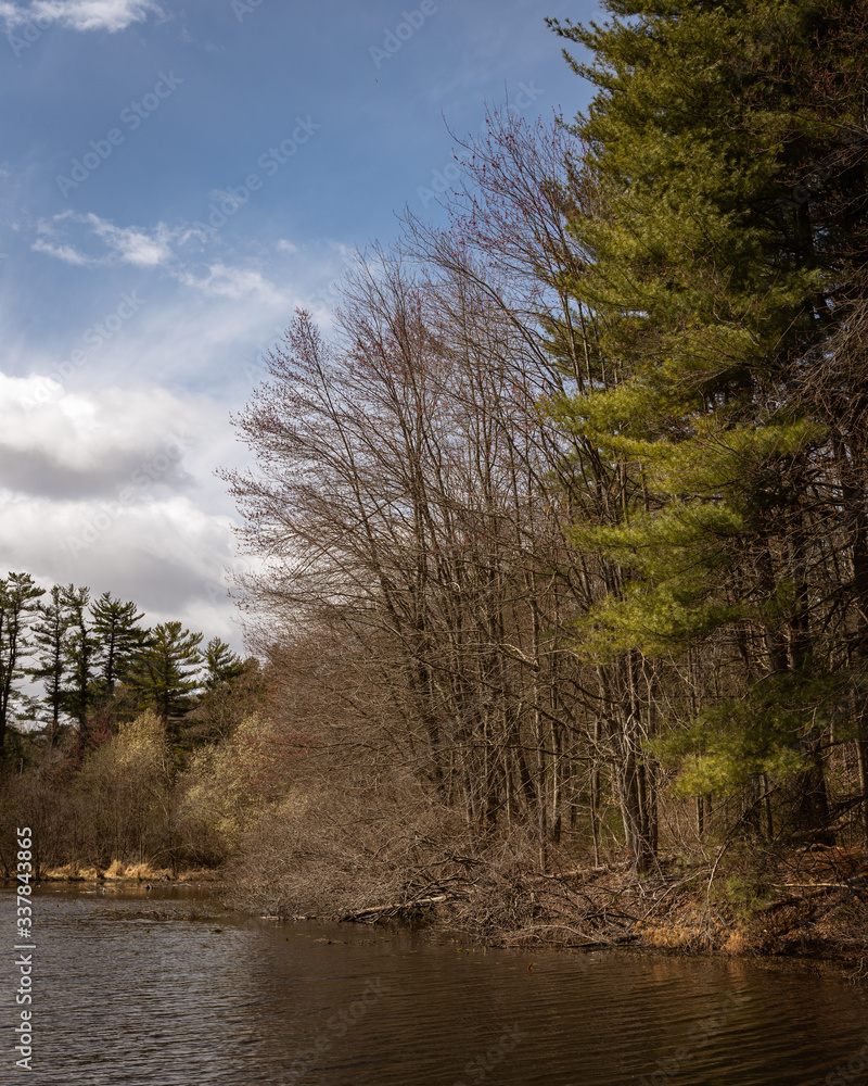 river in the woods river in the woods