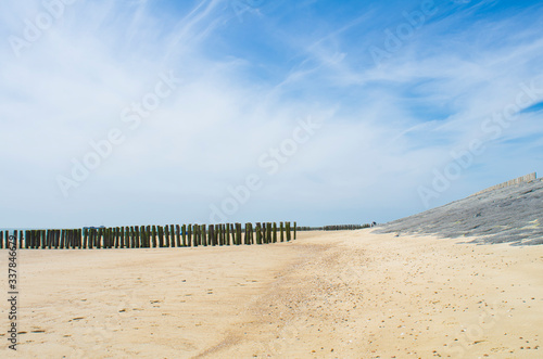 Muscheln und Steine im wei  en Sand am Strand
