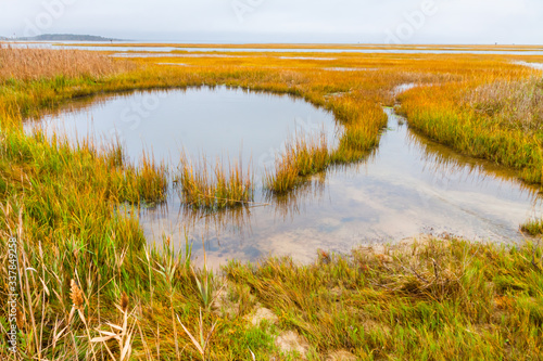 Open Salt Marsh in Reheboth Bay From Burton Island, Delaware Seashore State Park, Delaware, USA © Billy McDonald