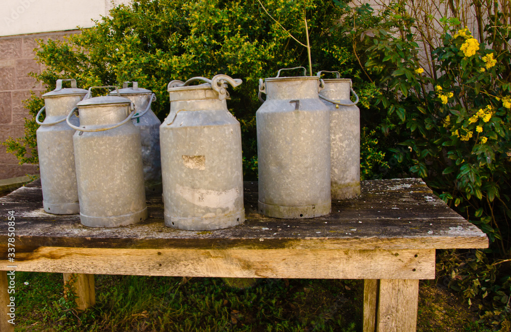 A group of ancient, meta milk cans on a table, vintage A group of ancient, meta milk cans on a table, vintage