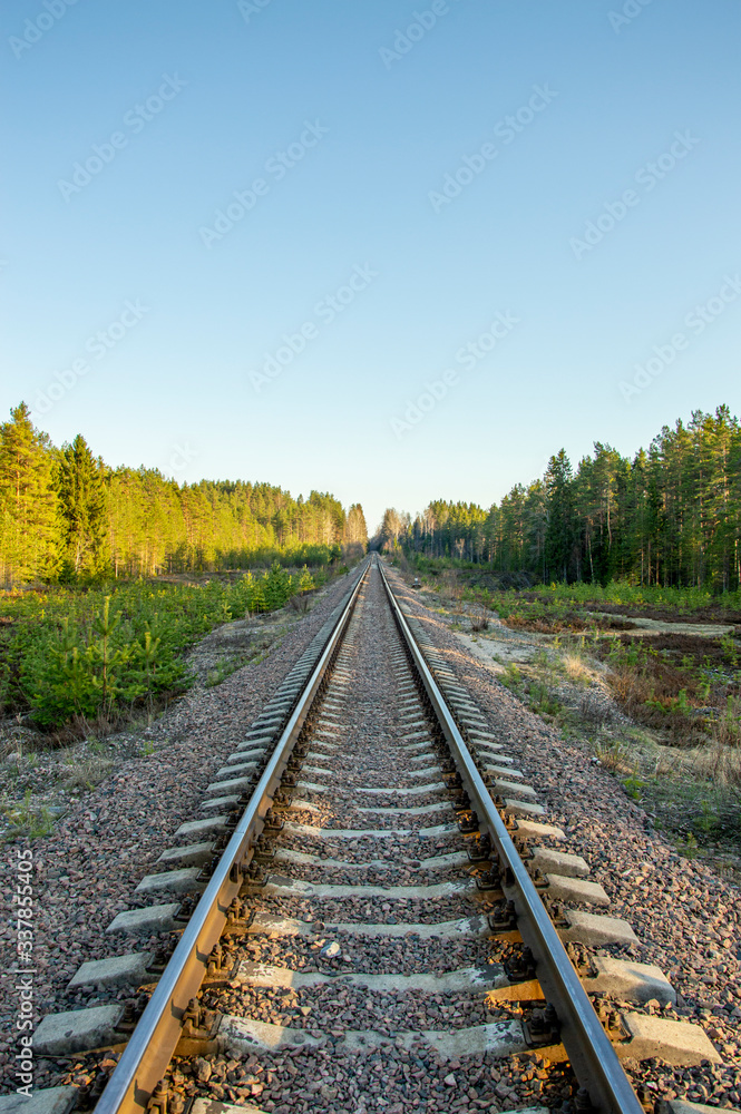 Railroad tracks going off into the distance