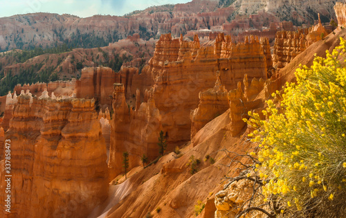 The Cathedral With Fall Color From The Rim Trail , Bryce Canyon National Park, Utah, USA