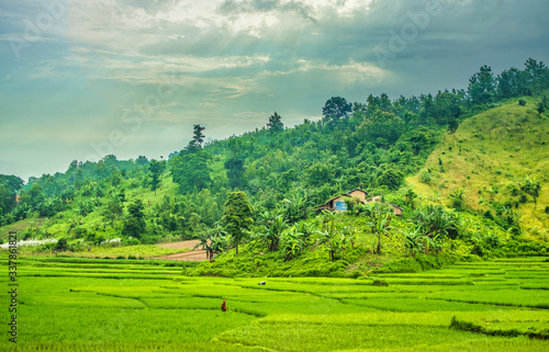 Hills of Sajek Valley Bangladesh