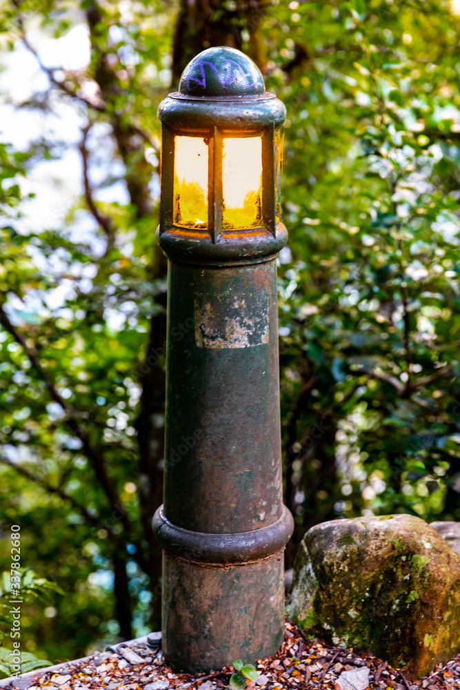 Fototapeta premium A Rustic Green Lampost in a Garden