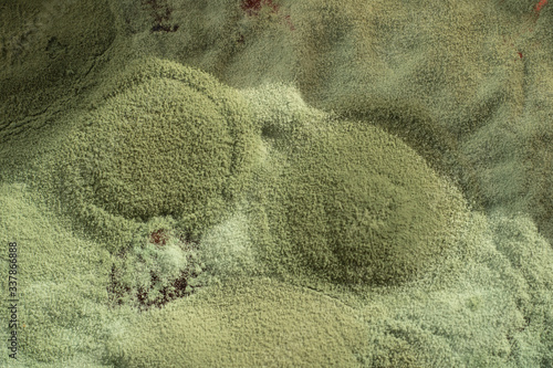 Green mold on food close macro background