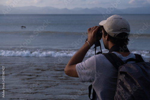 Wallpaper Mural Bird watching Torontodigital.ca