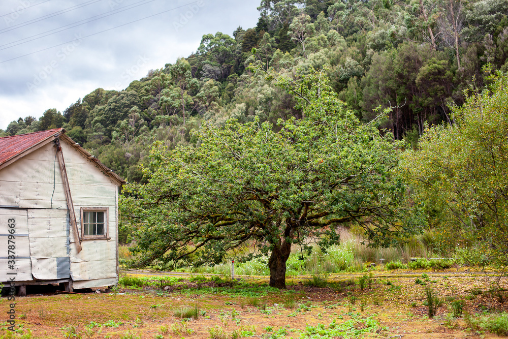 Remains of Lake Margaret Village Tasmania Remains of Lake Margaret Village Tasmania