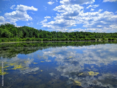 lake in the forest