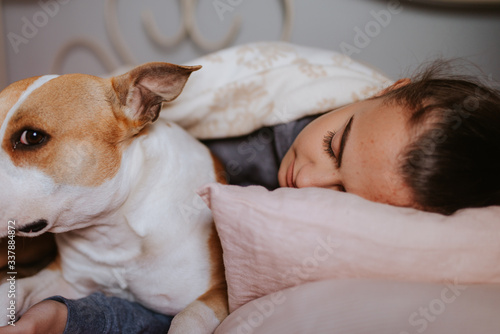 A beautiful brown dog breed Staffordshire Terrier and a young caucasian girl sleeping on the bed