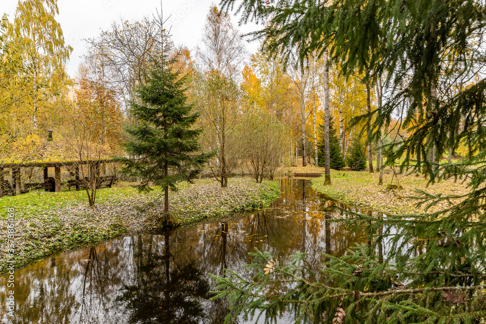 Forest lodge in backwoods, Wooden arbor, wild area in beautiful forest in Autumn, Specular reflection in water, Valday national park, yellow leafs at the ground, Russia, golden trees, cloudy weather Forest lodge in backwoods, Wooden arbor, wild area in beautiful forest in Autumn, Specular reflection in water, Valday national park, yellow leafs at the ground, Russia, golden trees, cloudy weather