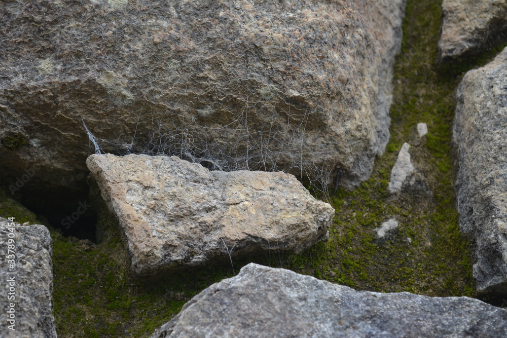 Macro de rocas
