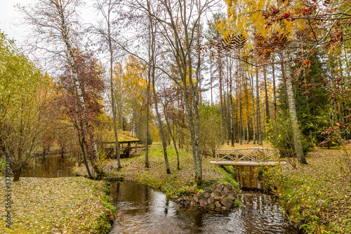 Forest lodge in backwoods, Wooden arbor, wild area in beautiful forest in Autumn, Specular reflection in water, Valday national park, yellow leafs at the ground, Russia, golden trees, cloudy weather