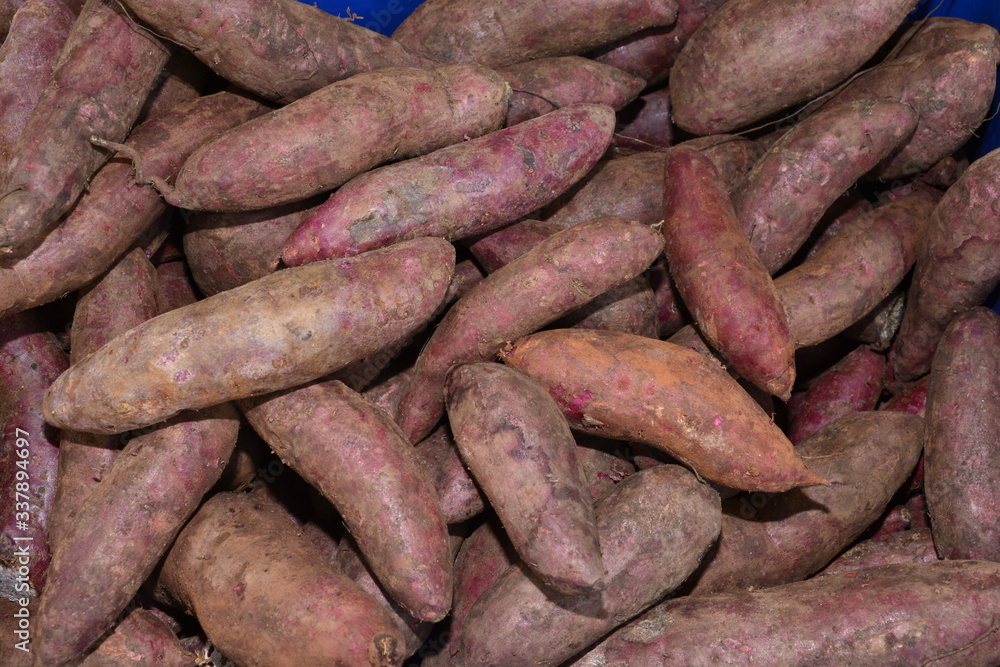 sweet potato or yam pile image which can be used as a background. sweet potato or yam pile image which can be used as a background.