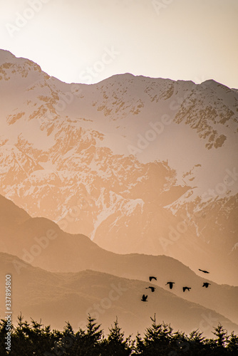 Birds flying at Sunset in the Southern Alps  New Zealand
