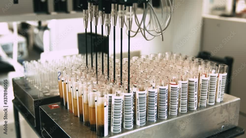 test tubes in laboratory test tubes in laboratory