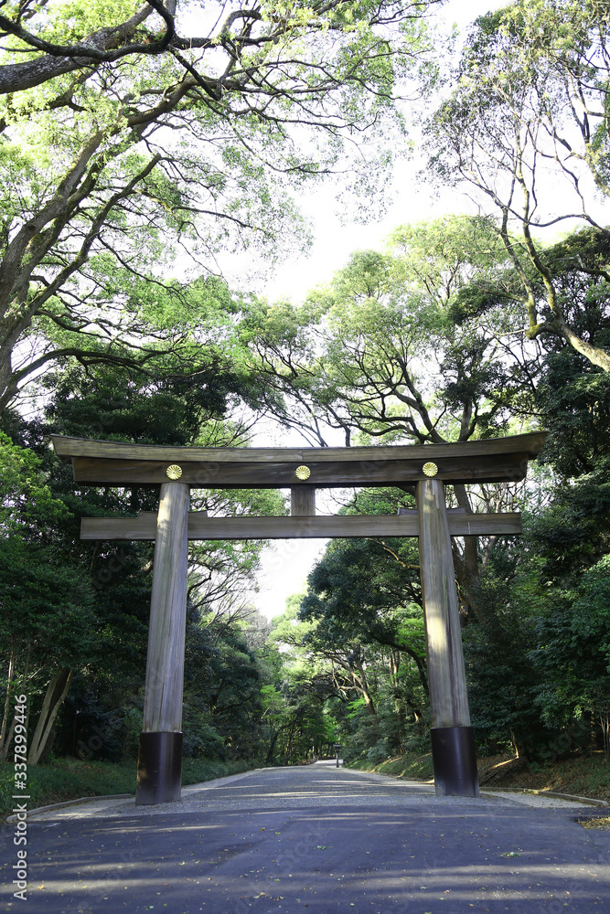 明治神宮　一の鳥居