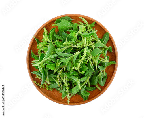Holy basil leaves in wooden plate on white background