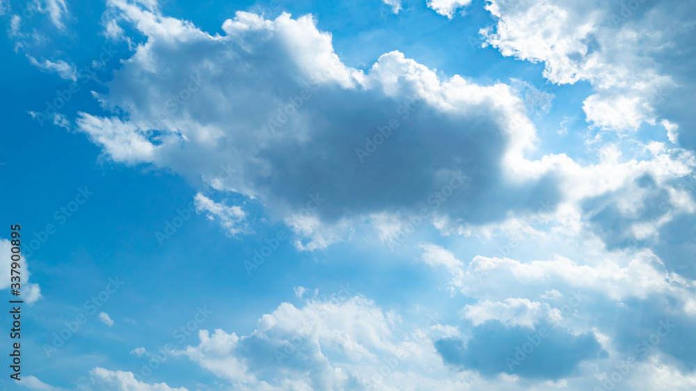 Fototapeta premium 青空・雲