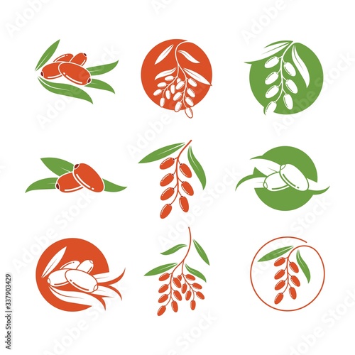 date fruit vector illustration design