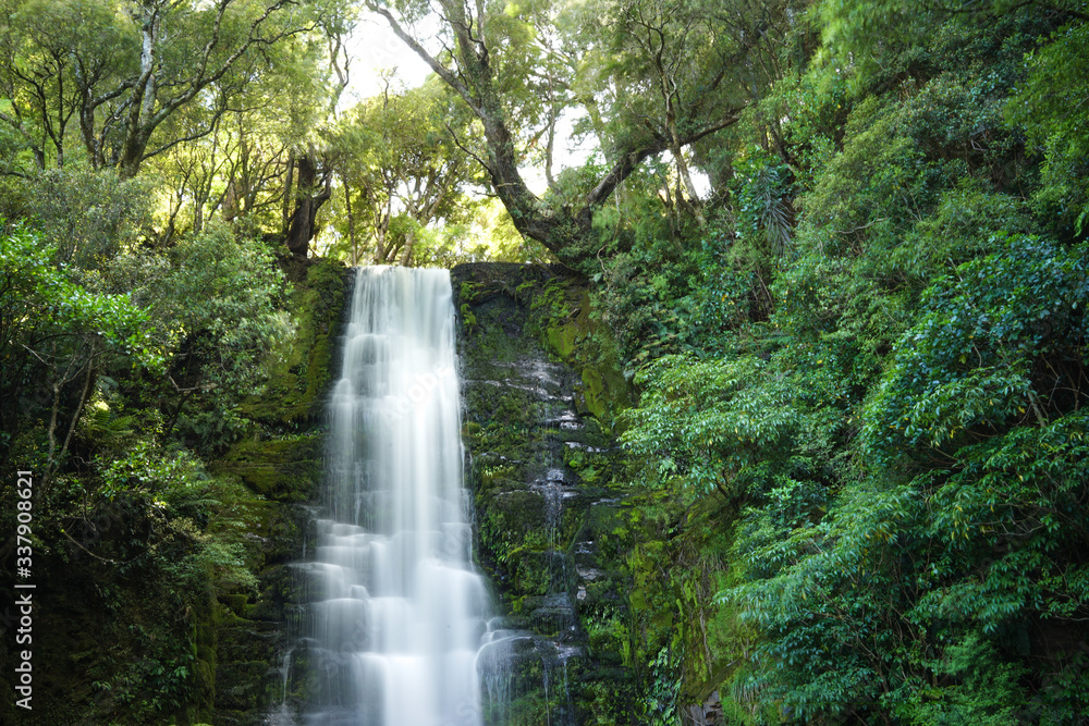 Waterfall in Catlins Forest, New Zealand