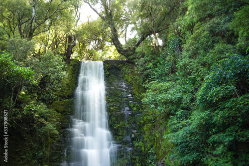 Waterfall in Catlins Forest  New Zealand