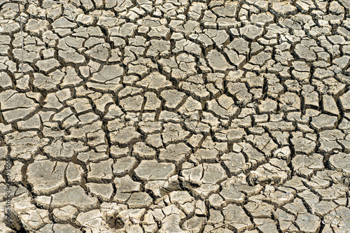 Cracked dried Ground in arid area