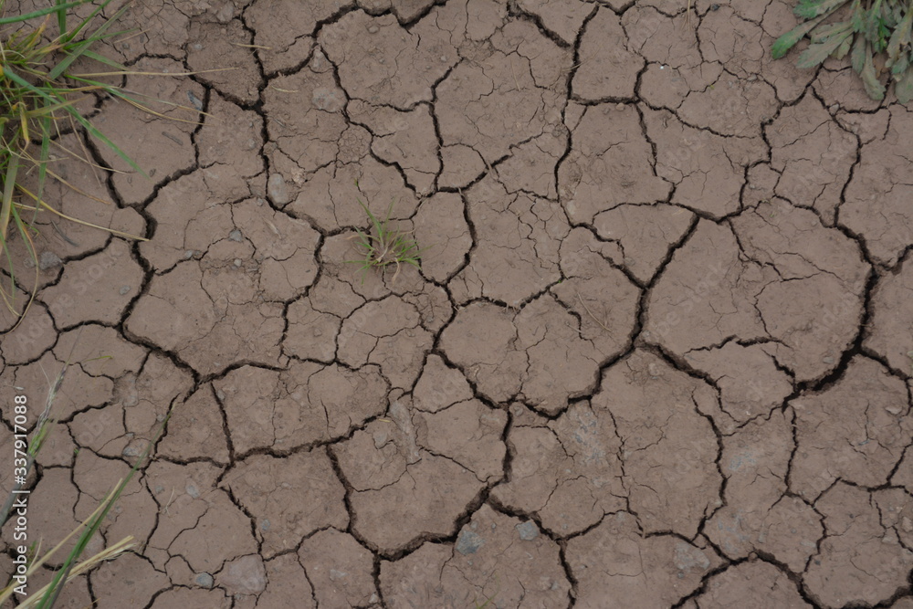 Fototapeta premium Tierra seca y agrietada